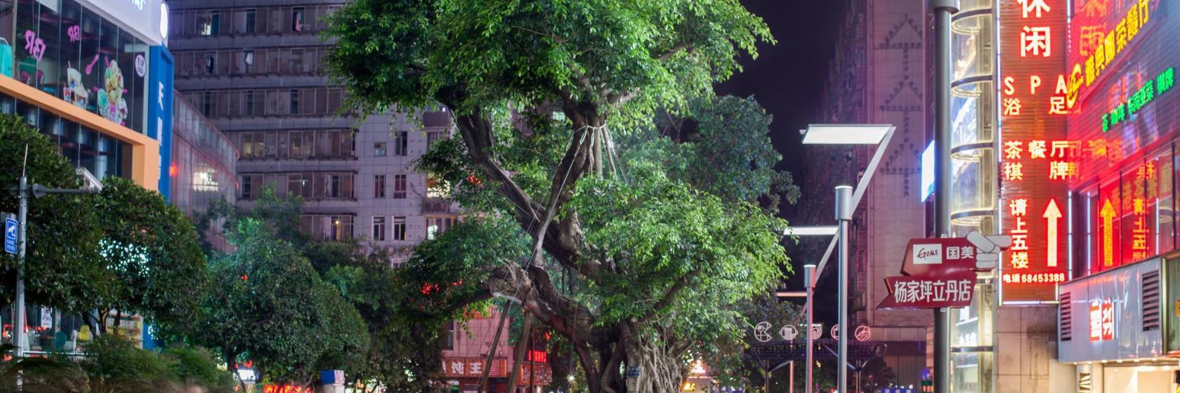 Yangjiaping Walking Street